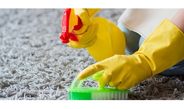 Sütlüce Halı Yıkama, -