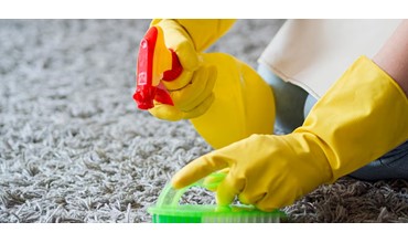 Boğaziçi Halı Temizleme, -