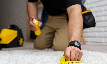 Halı Yıkama Şirketleri, -